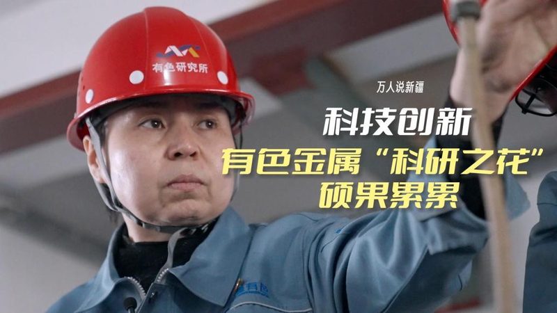 数据治理，生命线上的守护者：生命周期管理软件揭秘